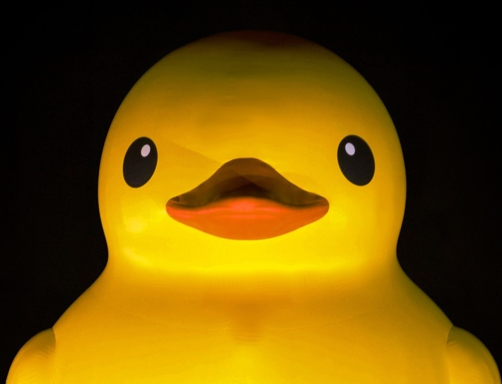 Hakiduck